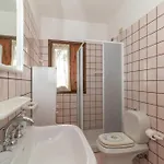 Azalea 발레도리아